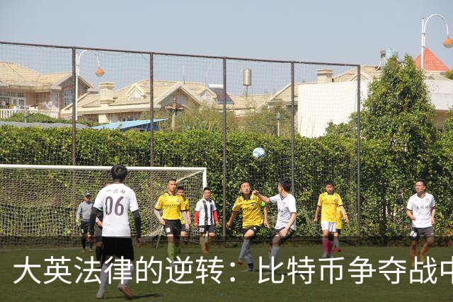 大英法律的逆转：比特币争夺战中的中英法庭较量